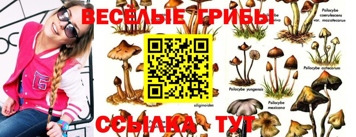 купить закладку  Галлюциногенные грибы Cubensis  Вход с VPN  Хасавюрт 
