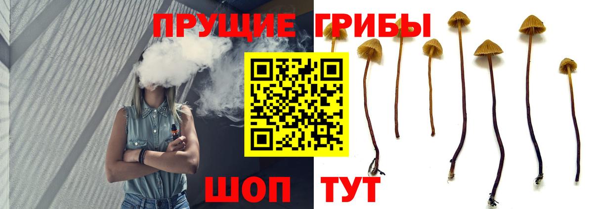 Галлюциногенные грибы мухоморы Хасавюрт